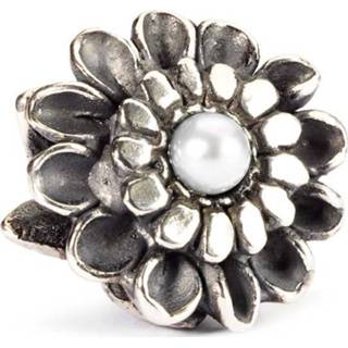 👉 Trollbead zilverkleurig zilver vrouwen bloemen active Trollbeads bedel November-chrysant TAGBE-00037 5711246021357