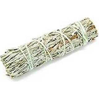 👉 Active Shasta Salie Smudge (10 cm)