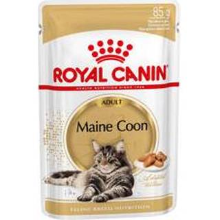 👉 Royal Canin Maine Coon Adult Wet - 12 x 85 g 9003579001202