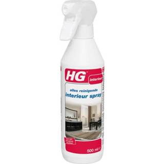 Active HG Alles Reinigende Interieur Spray 500 ml 8711577008772