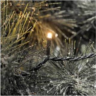👉 Kerstboomverlichting Konstsmide 6544-870 Buiten werkt op het lichtnet LED (één kleur) Amber 7318306544870