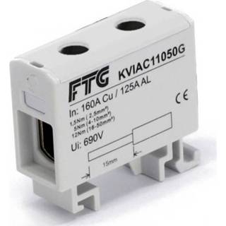 Grijs Klemblok 1-polig 50 mm² 160 A, 145 A Geleidertype = L FTG Friedrich Göhringer KVIAC11050G 4018841987394