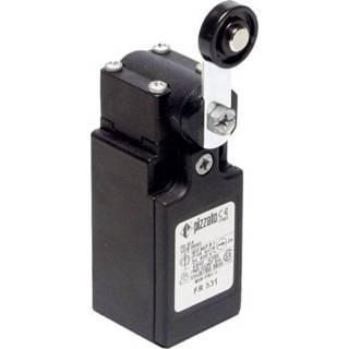 Eindschakelaar 250 V/AC 6 A Zwenkbare rolhefboom schakelend Pizzato Elettrica FR 531-M2 IP67 1 stuks 8018851082986