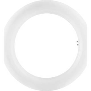 👉 Ledlamp a+ OSRAM LED-lamp G10q 12 W Koudwit Ring 1 stuks 4058075135468