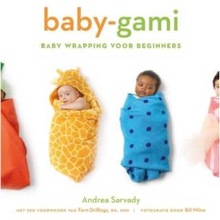 Baby's Baby-gami 9789045303291