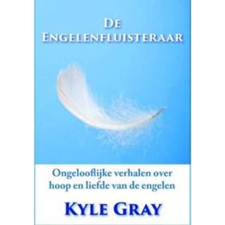 👉 Grijs De Engelenfluisteraar - Kyle Gray 9789079995356