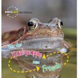 👉 Von Der Kaulquappe Zum Frosch Kreislauf Des Lebens - Camilla De La Bédoyère 9789461754233