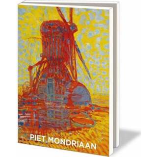 👉 Envelop Piet Mondriaan Kaartenmapje Met 10 Dubbele Kaarten 8716951278857