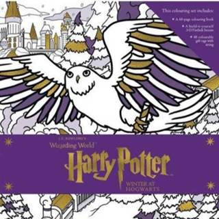 👉 Harry Potter Winter At Hogwarts Magical Colouring Set 9781406376081