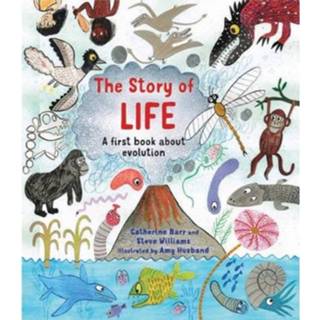 👉 Story Of Life - Catherine Barr 9781786033420