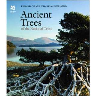 👉 Ancient Trees Of The National Trust - Edward Parker 9781857599442