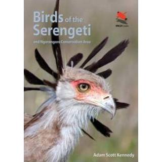 👉 Birds Of The Serengeti And Ngorongoro Conservation Area - Adam Scott Kennedy 9780691159102