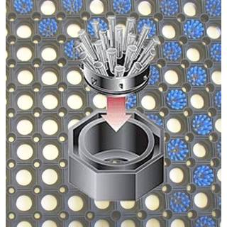 👉 Inzetborstel blauw active Inzetborstels voor rubbermatten, 10 stuks, 4024293040181