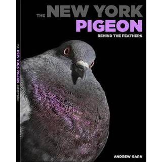 👉 New York Pigeon Behind The Feathers - Andrew Garn 9781576878699