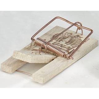 👉 Muizenval houten beukenhout active muizenval, beukenhout, 20 stuks