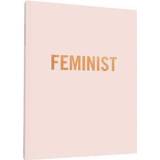 👉 Feminist Journal 9781452158891