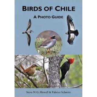 👉 Birds Of Chile A Photo Guide - Steve N.G. Howell 9780691167398