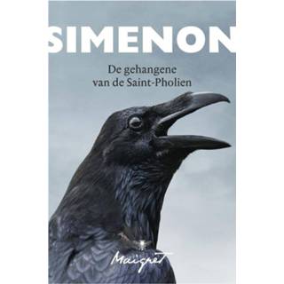 👉 De gehangene van de Saint-Pholien - Georges Simenon (ISBN: 9789023422044)