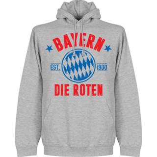 👉 Sweater grijs Bayern Munchen Established Hooded -