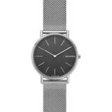 👉 Horlogeband titanium Skagen SKW6483 20mm 8719217147195
