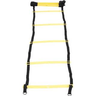 👉 Ladder zwart Fitness 4260438731723