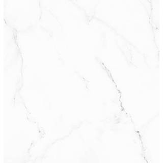 👉 Vloertegel wit mat marmer porselein eros Plaza Carrara Matt 60x60 look
