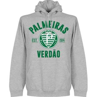 👉 Sweater grijs Palmeiras Established Hooded -