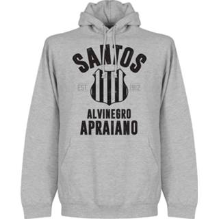 👉 Sweater grijs Santos Established Hooded -