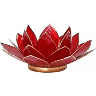 👉 Sfeerlicht active rood Lotus 1e Chakra Goudrand 8718657460666