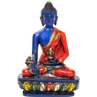 👉 Boeddha active Medicijn Gekleurd (14 cm) 8719497616282