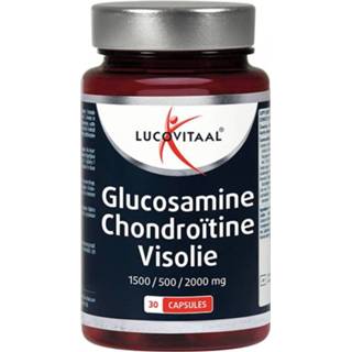 Active Lucovitaal Glucosamine Chondroitine Visolie 30 capsules 8713713041148