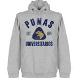 👉 Pumas Unam Established Hoodie - Grijs