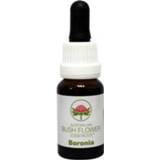 👉 Australian Bush Boronia (15ml) 9326922000623