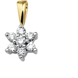 👉 Hanger diamant bicolor goud active vrouwen glanzend TFT Ster 0.24ct H P1 8718834372164