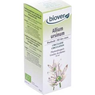 👉 Nederlands Biover Allium ursinum 5412141002266