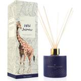 👉 Diffuser wax reed Lyrical Yvonne Ellen Wild Jasmine 5015802181524