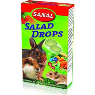 Snoep active Sanal Knaagdier Snoepjes Salad 45 gr 8711908730006