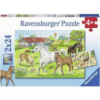 👉 Puzzel mannen Ravensburger 2x24 stukjes Op de manege 4005556078332