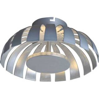 👉 Wit zilver Lutec Flare 9017 S si LED-plafondlamp 10 W Warm-wit 4250294313256