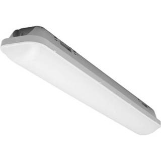 👉 Wit LED LED-kuiplamp voor vochtige ruimte IP65 36 W vast ingebouwd Neutraal Radium Dampproof 4003556005471