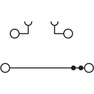 👉 Grijs Phoenix Contact UTTB 2,5-TG-P/P 3044644 Scheidingsklem 0.14 mmÂ² 4 50 stuks 4046356894074