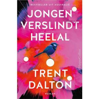 👉 Jongens Jongen verslindt heelal - Trent Dalton ebook 9789402757781