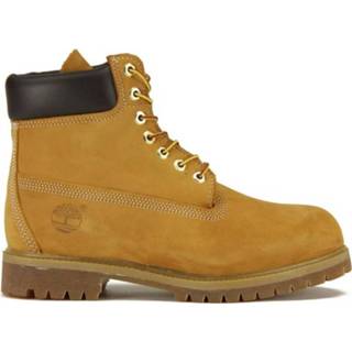 👉 Male bruin Timberland Icon Premium