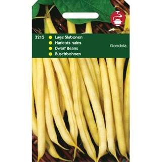 👉 Stam slaboon Hortitops Stamslabonen Phaseolus vulgaris Gondola (Wasboon witzadig) - Groentezaden 100 gram
