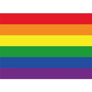 👉 Vlag active multi papier 10x Regenboog / LGBT sticker 7.5 x 10 cm