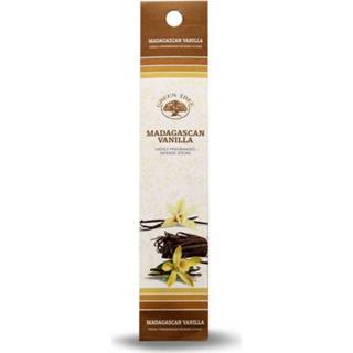 👉 Wierook active Green Tree Mini Madagascan Vanilla (20 pakjes) 8903664100661