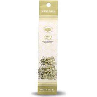 👉 Wierook wit active Green Tree Mini White Sage (20 pakjes) 7440841895855