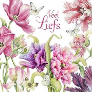 👉 Liefde roze BooksNL