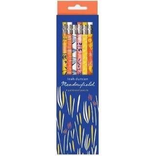 👉 Pencil Meadowfield Set 9780735346208