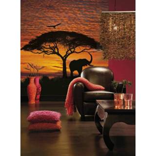 👉 Fotobehang multikleur papier Komar National Geographic African Sunset 194x270 cm 4-501 4036834045012